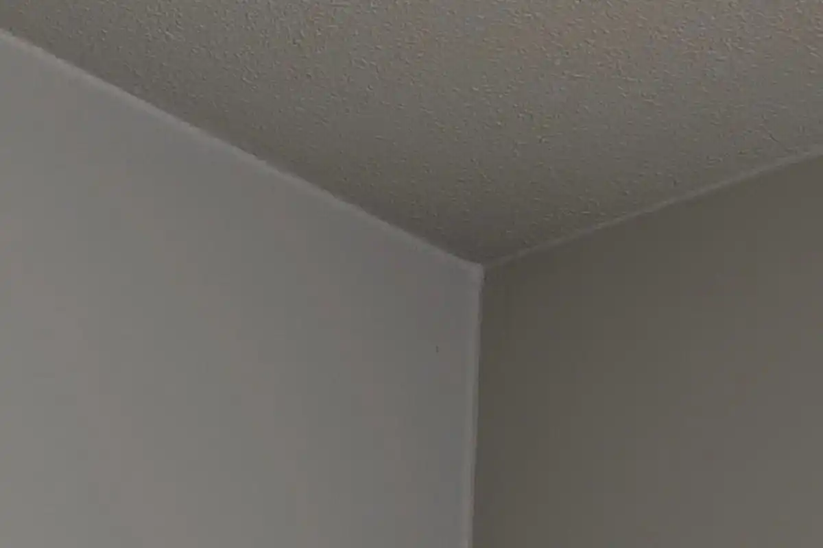 Het geheim van de schilder: Eerst kitten, dan pas sausen